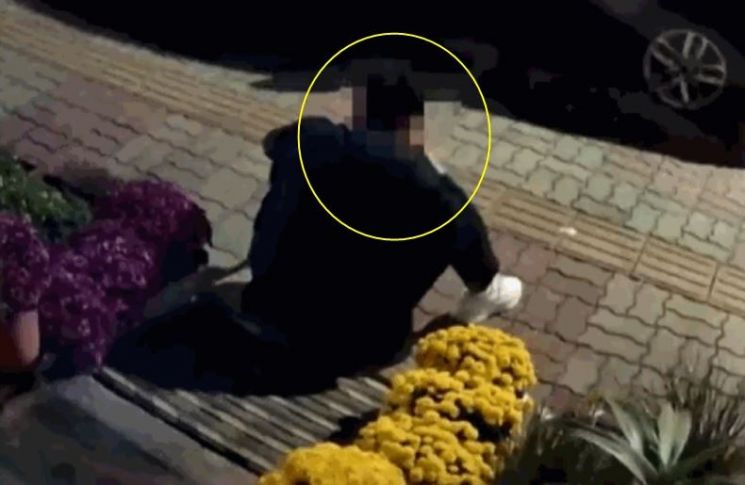 술 취해 남의 집 앞 국화 뽑아 '냠냠'…황당 장면 CCTV 포착 