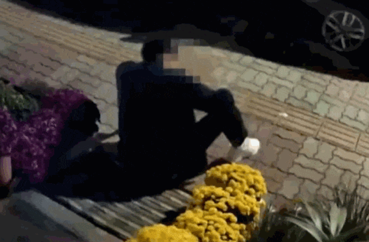 술 취해 남의 집 앞 국화 뽑아 '냠냠'…황당 장면 CCTV 포착 