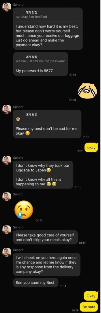 온라인 연인 발전한 뒤 1억6500만원 '꿀꺽'…국제 사기단 12명 검거
