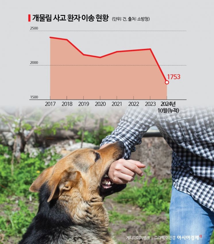 개 물림 사고 연간 2200여건…솜방망이 처벌은 여전