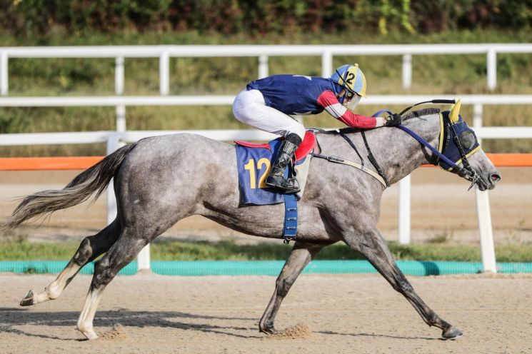 2024년 농협중앙회장배 캡틴피케이 우승장면. 렛츠런파크 부산경남 제공