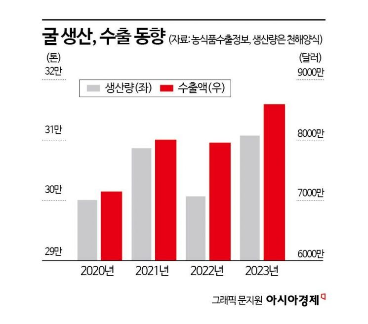 [단독]“김 다음은 굴”…'K-굴' 종합대책 나온다