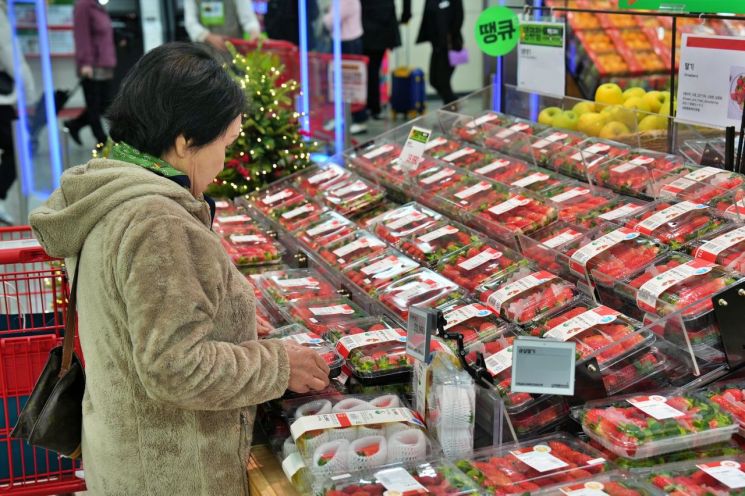 롯데마트 제타플렉스 서울역점의 딸기 매대 전경. 롯데마트 제공