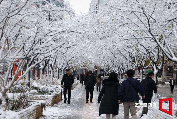 "회사 가야지" 눈 뜨니 눈 천지…폭설 쌓인 도로 출근길 혼잡