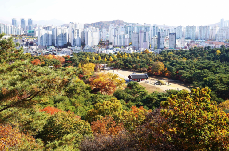Joseon Royal Tombs Tree Forest, Economic and Public Value Estimated at 77.9 Billion Won