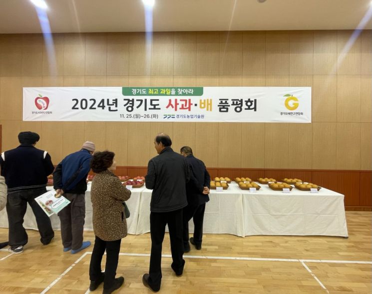 여주시는 지난 25일 경기도농업기술원 주관으로 실시한 경기도 사과·배 품평회에서 대상 수상하고 있다.사진은 2024 여주사과 배 품평회 모습.  여주시 제공