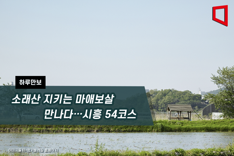 [하루만보]소래산 지키는 마애보살 만나다…시흥 54코스