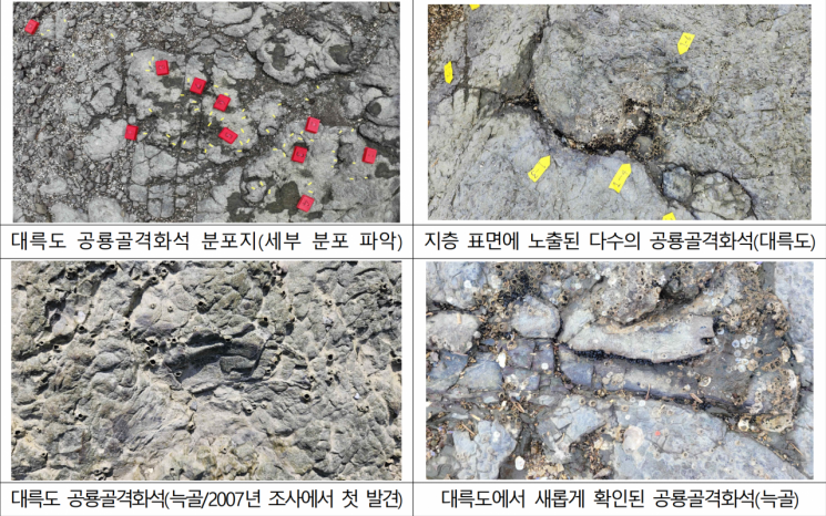 국가유산청, 공룡 골격 화석 발굴 착수, 첫 대상지는…