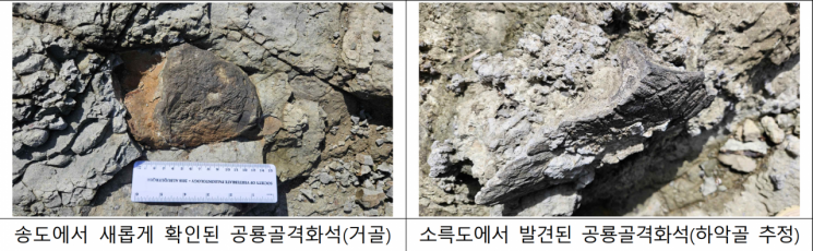국가유산청, 공룡 골격 화석 발굴 착수, 첫 대상지는…