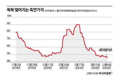 역대 최저가 찍은 흑연…'中 저가공세'에 포스코퓨처엠 살려라