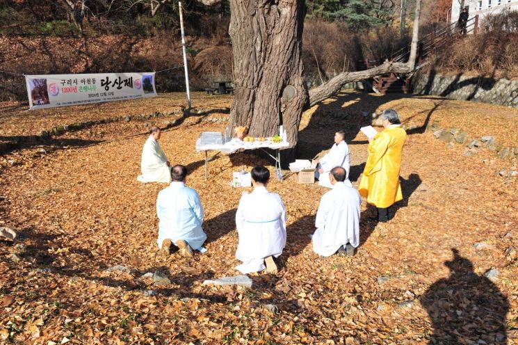 Guri-si Holds Dangsanje Ceremony to Pray for the Designation of the 1,200-Year-Old Uminae Ginkgo Tree as a Natural Monument