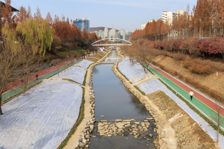 새 단장 마친 마포구 월드컵천 '청보리 명소' 꿈꾸다