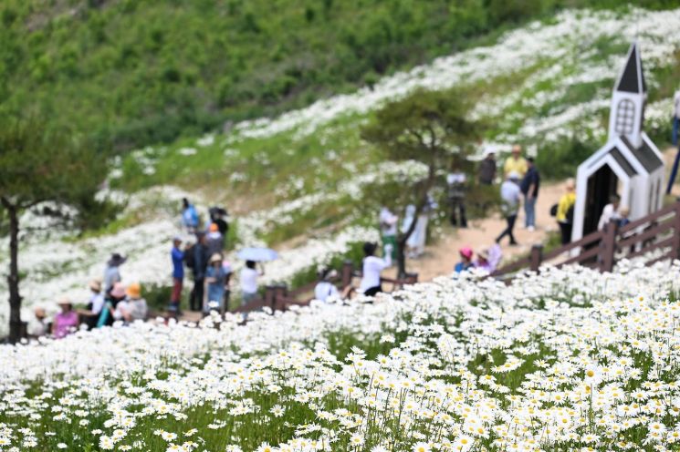 평창 ‘육백 마지기 지방 정원’ 조성 예정지, 산림청서 승인