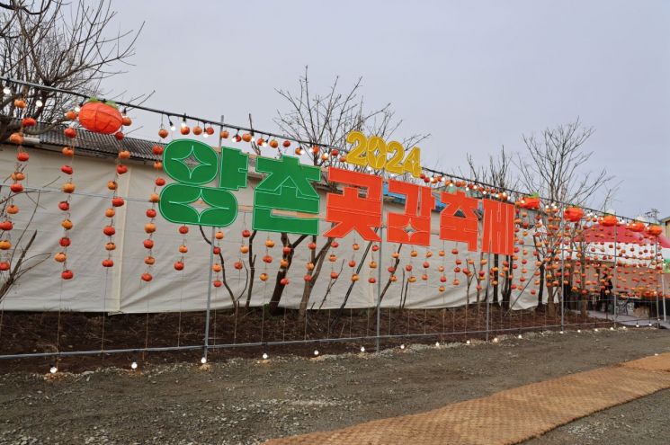양촌곶감축제에 12만 명 방문...달콤한 추억 선사