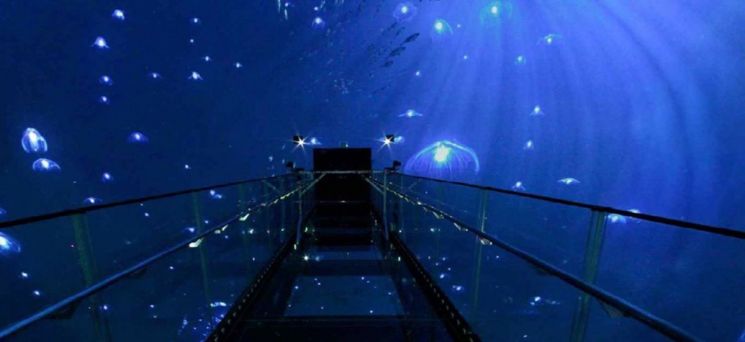 국립광주과학관, 영상관 ‘스페이스 360’ 새 단장