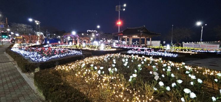 포항 겨울바다 물들이는 오색 불빛… 영일대 LED장미원 새 단장