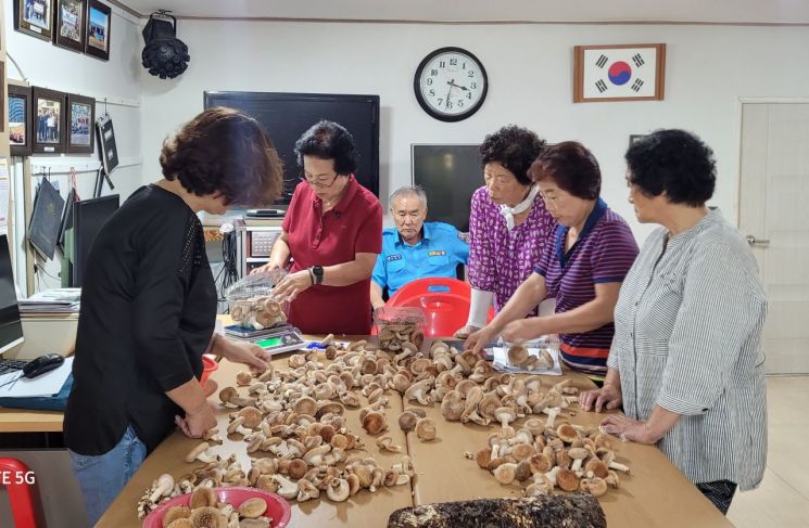 물만골 행복마을 버섯재배단. 부산도시공사 제공