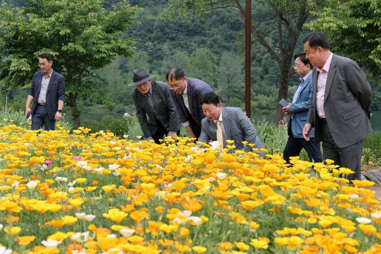 자라섬 꽃페스타. 가평군 제공