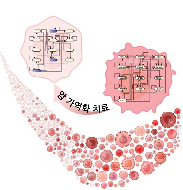 연구 결과 모식도. KAIST 제공