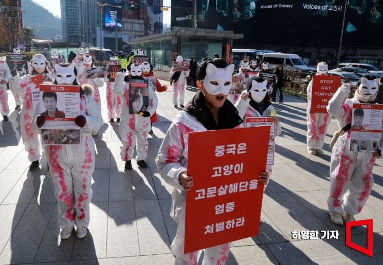 [포토] 동물권단체 케어, 중국 고양이 고문 살해 규탄 집회