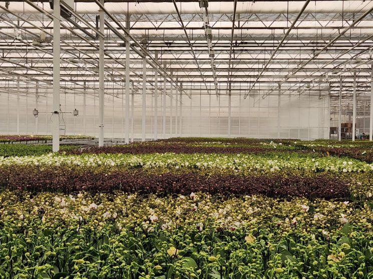 충남도 홍성에 청년 스마트팜 유치…10ha 규모