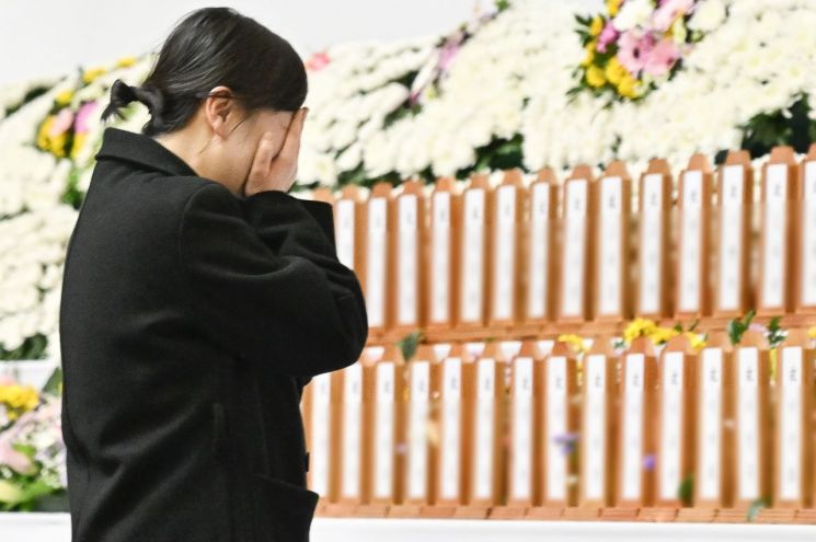"댓글 쓸 때도 잠깐 고민해야" 항공 사고 분석 유튜버의 당부
