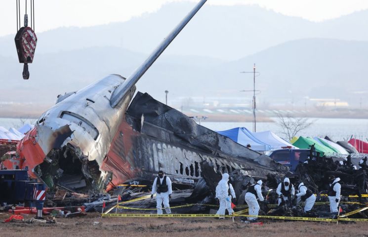 '새떼 충돌' '동체착륙' '콘크리트 둔덕'…재난에 인재 겹쳐 화 키웠다 