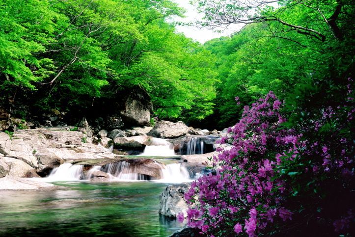 지리산 뱀사골. 아시아경제 자료사진