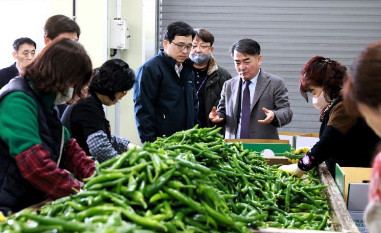 경남농협, 진주 금산농협서 풋고추 수급 현황 현장점검 실시