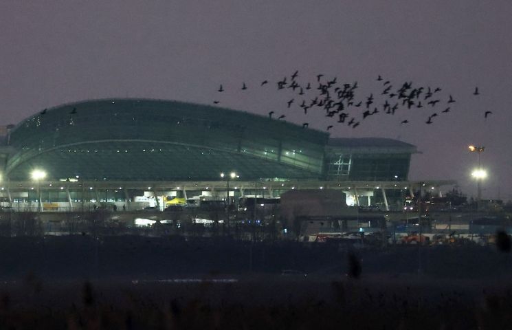 1일 오후 전남 무안군 무안국제공항 인근에서 새들이 날고 있다. 연합뉴스