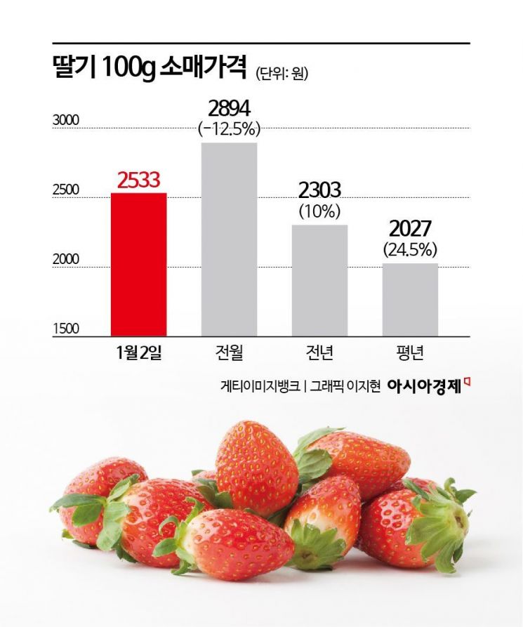 [맛잘알X파일]만병통치약 딸기…겨울 과일의 왕 '대해부'