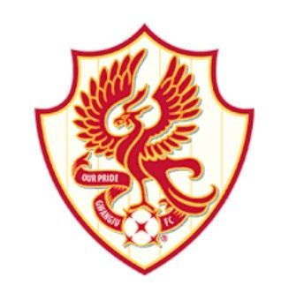 광주FC, ‘음주운전 이력’ 선수 영입 시도 논란