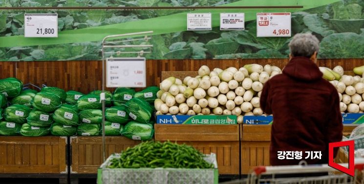 [포토] 설 물가 비상, '배추 58.9%-무 77.4% 상승'
