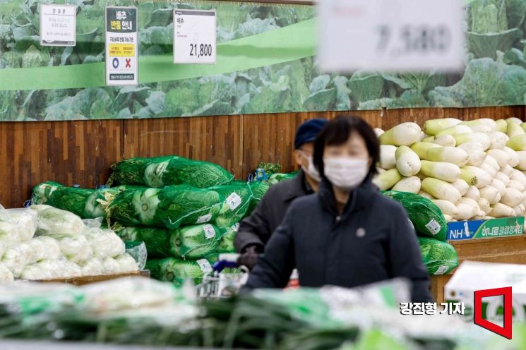 올해는 김치 담가볼까…배추·무 가격 50% 하락, 김장 수요↑