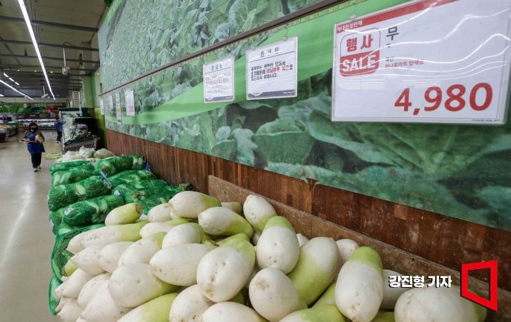[포토] 설 앞두고 배추-무 가격 급등