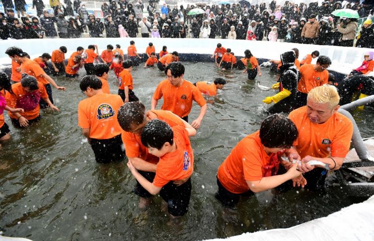 2024 화천산천어축제에서 펼쳐진 산천어 맨손잡기 장면. 사진=화천군청 제공