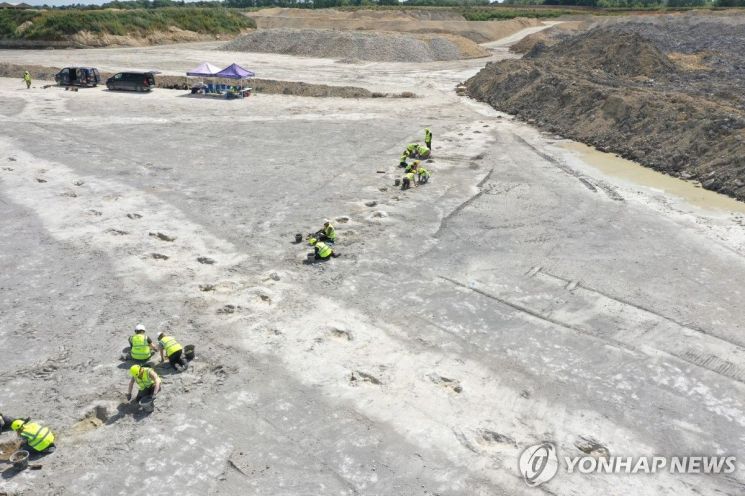 "어디서 왔다 어디로 갔나"…영국서 발견된 공룡 발자국 200개