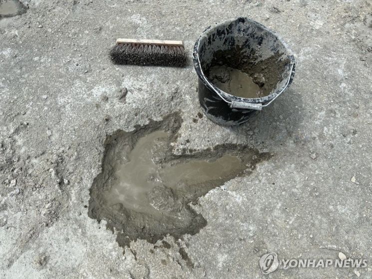 "어디서 왔다 어디로 갔나"…영국서 발견된 공룡 발자국 200개