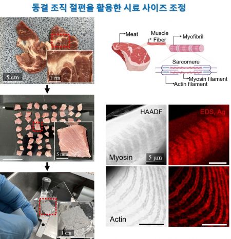 KAIST, 신개념 생체형틀법 ‘캠바이오’ 개발