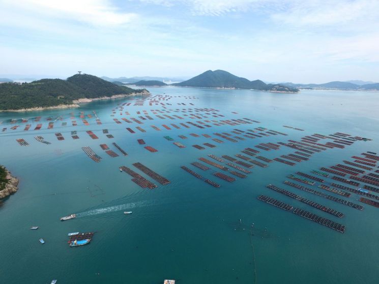 완도군, 전복 36% 가격 폭락…20억 경영 안정 자금 긴급 지원