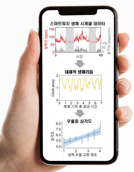 KAIST “스마트워치로 ‘우울증’ 예측…디지털 바이오마커 개발”