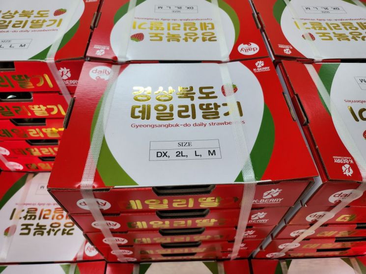 고령군, 대표 특산물 ‘딸기’ 홍콩 진출