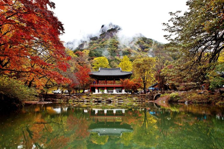 100만명 찾은 장성 백양사·백암산 '주차비 0원'