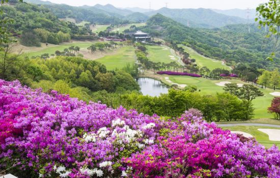 안성베네스트는 넓은 페어웨이와 빠른 그린이 특징이다. 사진제공=안성베네스트