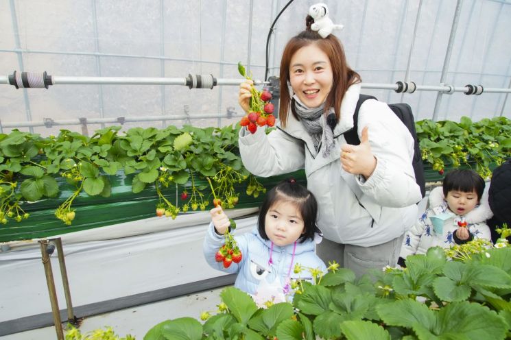 성동구, 구직단념 청년 발굴 최대 350만 원 지원