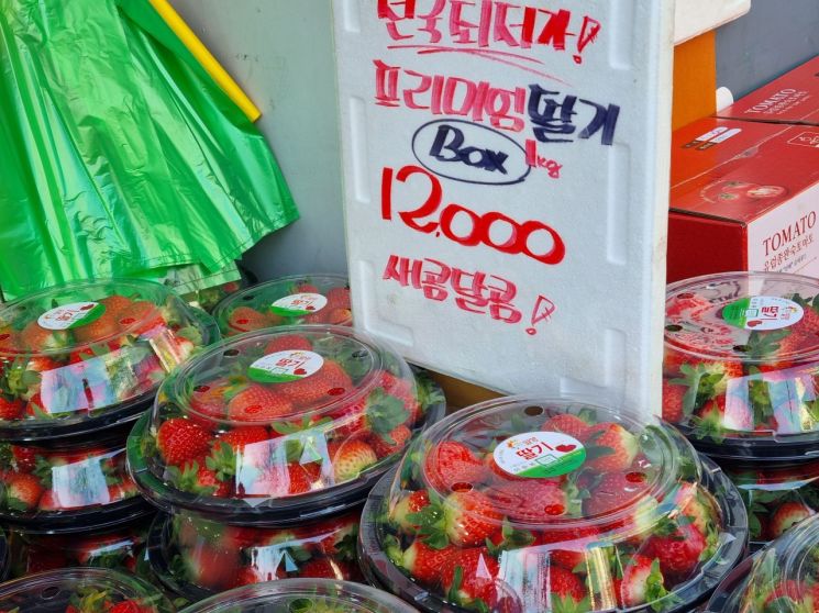 "15분 걸어 반값딸기 득템"…고물가 속 빨간바구니의 습격      
