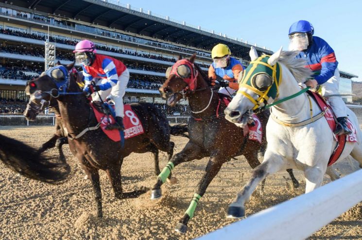 거침없는 질주… 렛츠런파크 서승운 기수, 개인통산 800승 달성