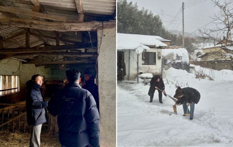 2월 한 달간 68.2㎝…장성군, '폭설·한파' 대응 집중