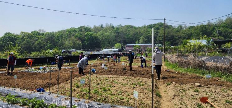 구로구 궁동 주말농장