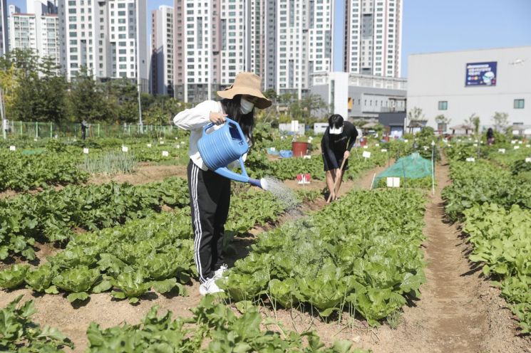 성동구 무지개텃밭